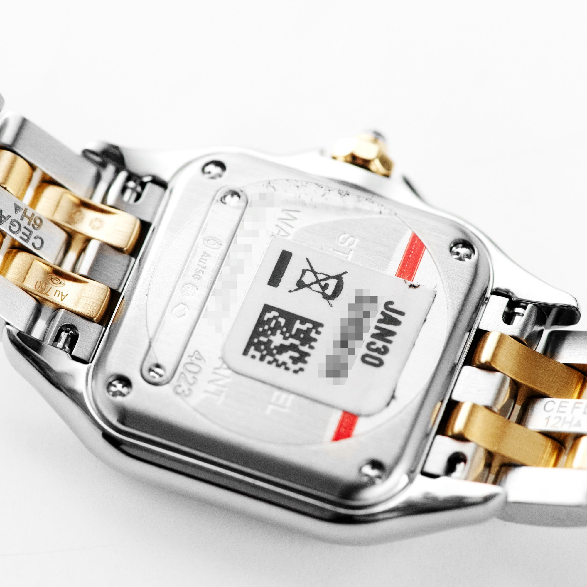 Panthère Small, W2PN0018