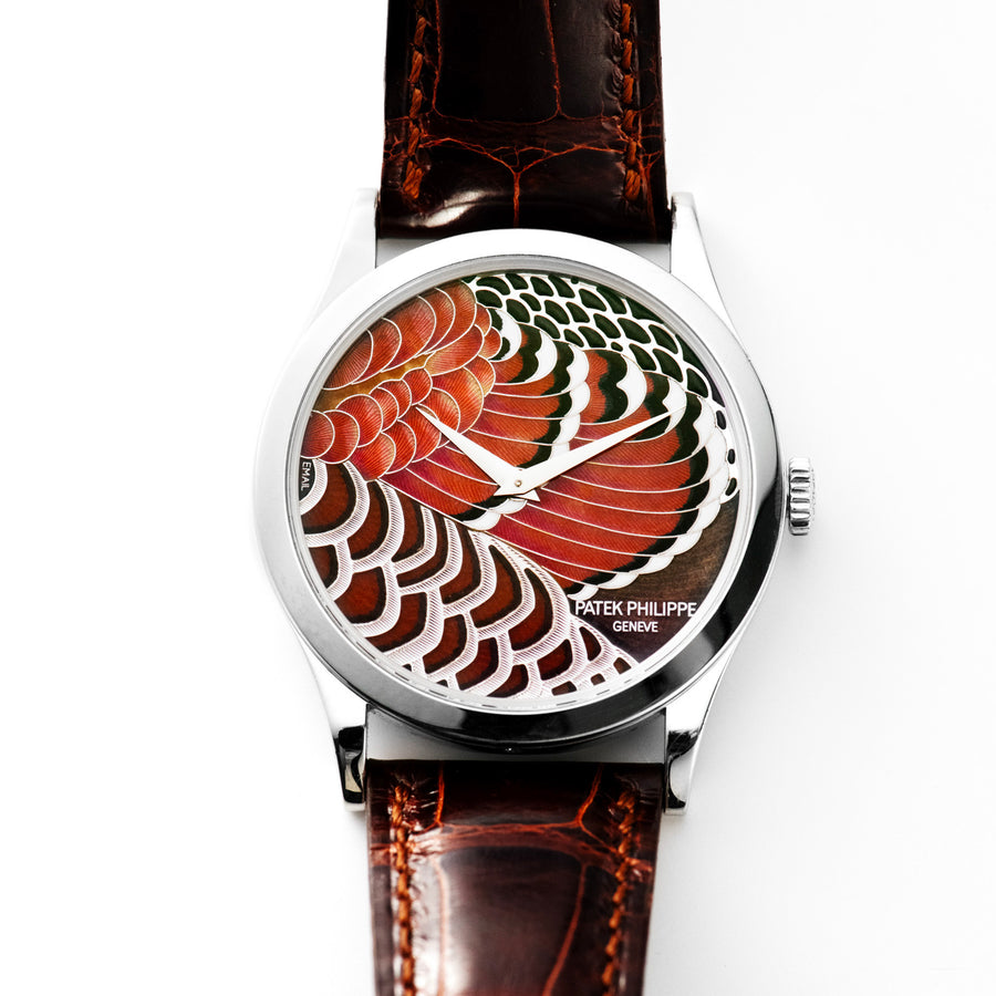 Calatrava, 5077P-090