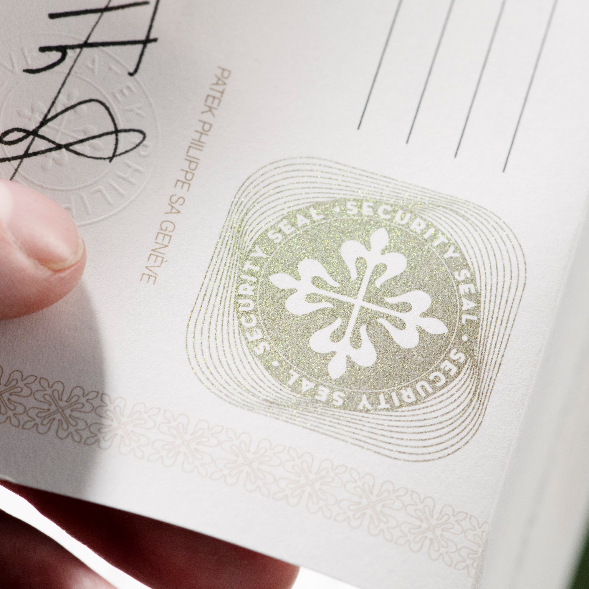 Nautilus, 5811/1G-001