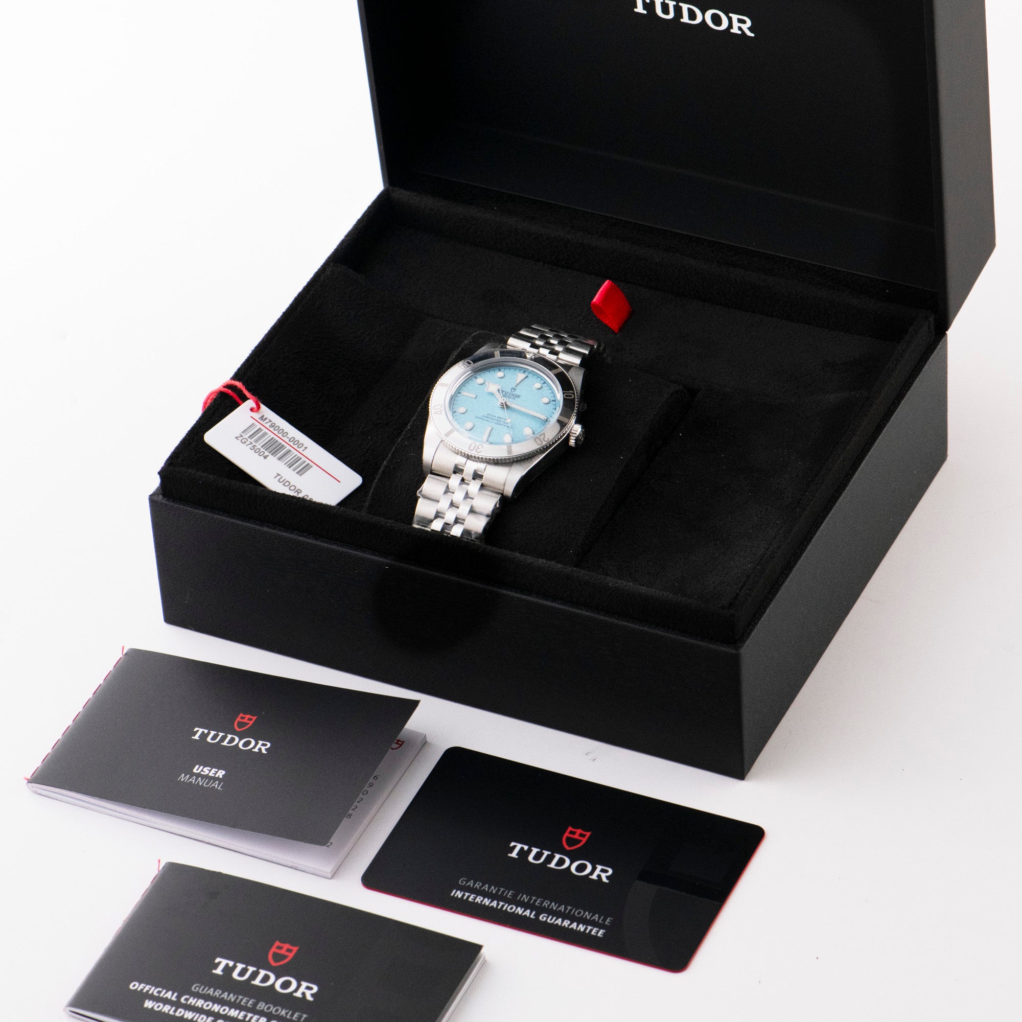 Black Bay 54, M79000